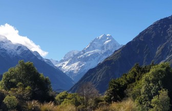 MTCOOK